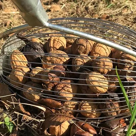 Le Repaire Coubjours