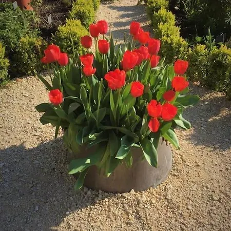 Casa de hóspedes Le Repaire 4*