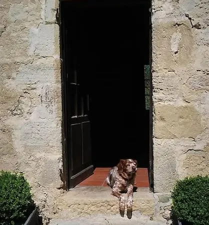 Le Repaire 4* Coubjours