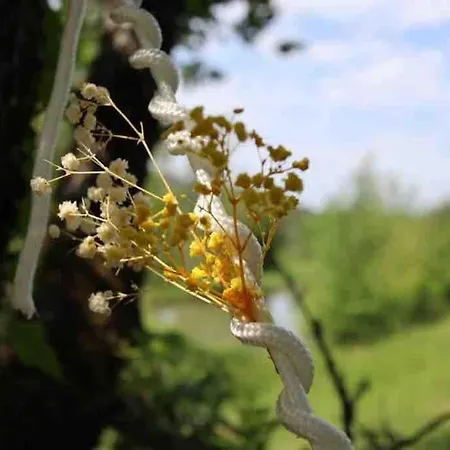 Le Repaire Casa de hóspedes