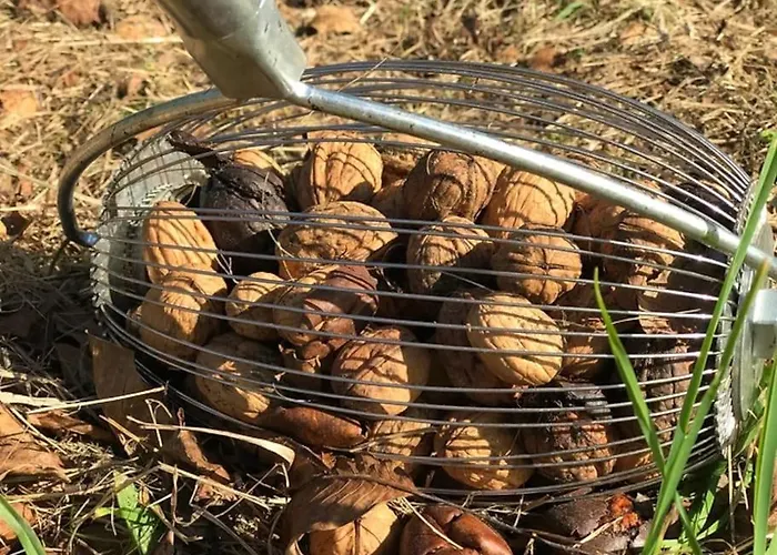 Le Repaire Coubjours