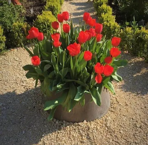 ゲストハウス Le Repaire 4*