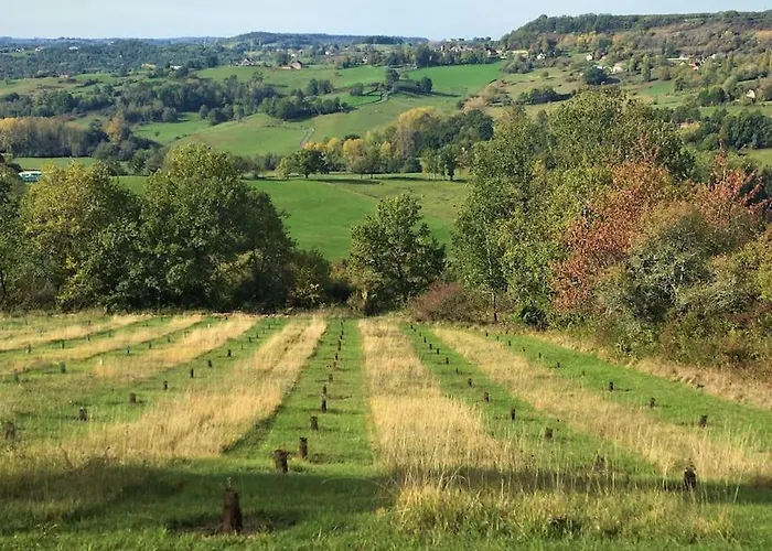 Le Repaire ゲストハウス 4*