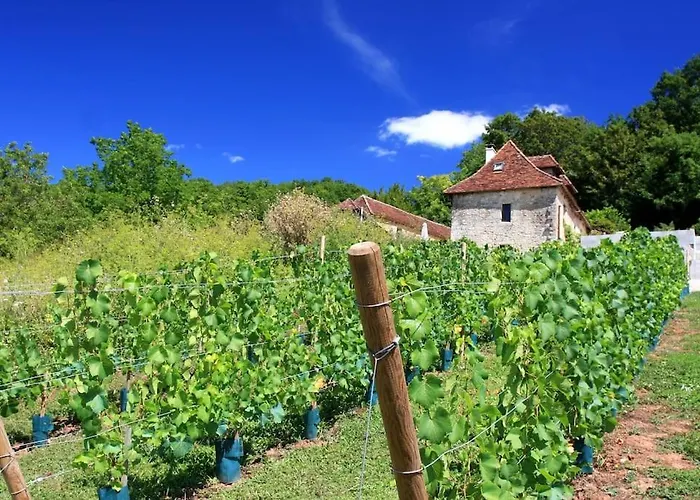 Le Repaire ゲストハウス 4*